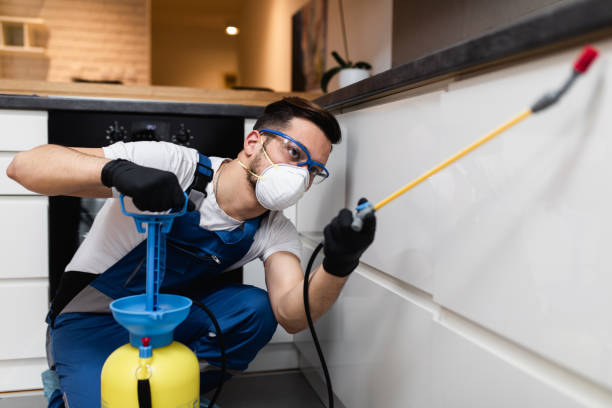 Best Pest Removal Services  in Southport, CT