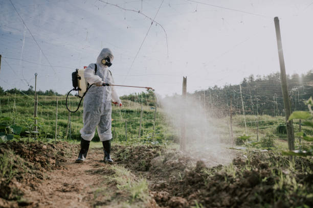 Best Commercial Pest Control Services  in Southport, CT