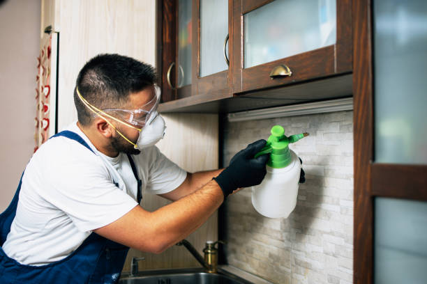 Best Best Pest Control Companies  in Southport, CT