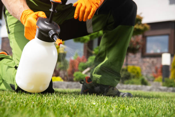Best Best Pest Control Companies  in Southport, CT