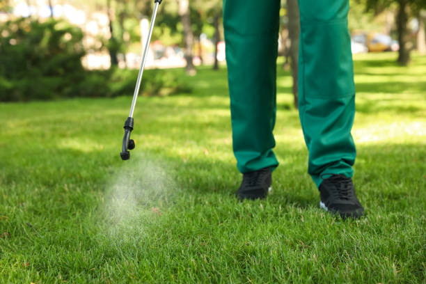 Best Local Pest Control Services  in Southport, CT