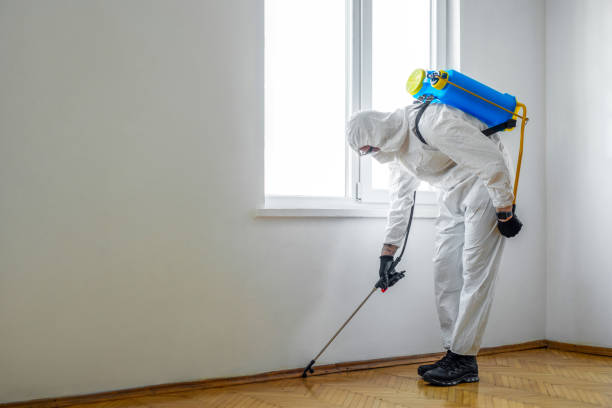 Professional Pest Control in Southport, CT