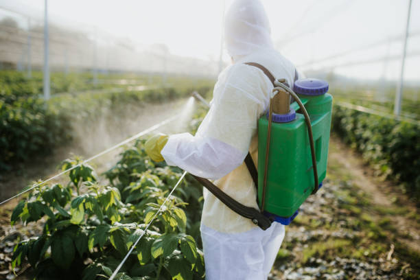 Best Pest Control Near Me  in Southport, CT
